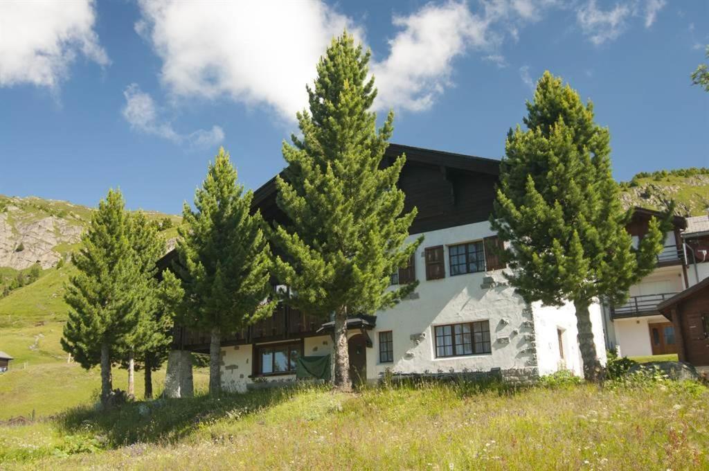 Schoenegg Hochparterre Riederalp Ngoại thất bức ảnh